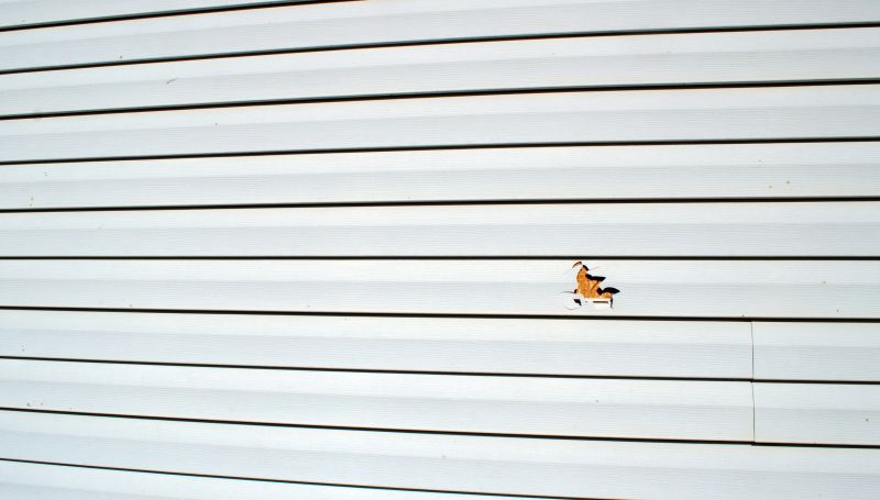 Properly Sealed Siding